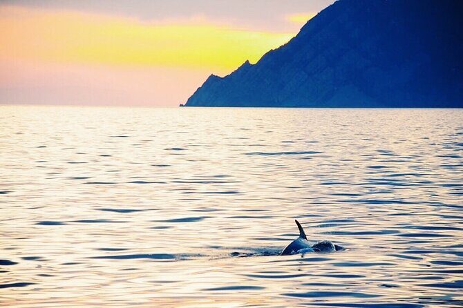 Sunset Cinque Terre Boat Tour with a traditional ligurian gozzo from Monterosso - On-Board Aperitivo: Prosecco, Snacks, and a Crew Playlist