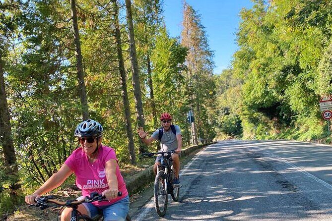 The heart of the 5 Terre: Monterosso and national park ebike tour - Small-group guiding that actually helps you ride