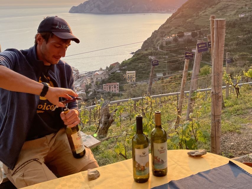 Vernazza: Panoramic Vineyard Trekking Tour w/ Wine Tasting - The best parts, fast