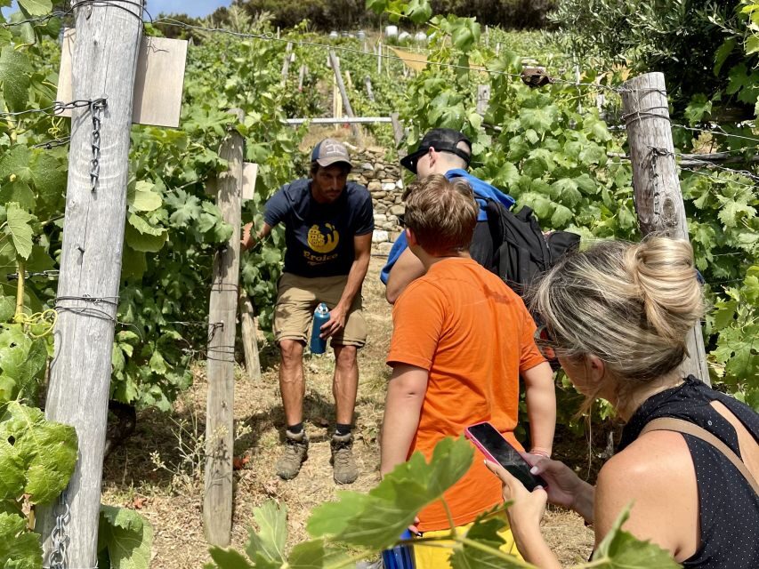 Vernazza: Panoramic Vineyard Trekking Tour w/ Wine Tasting - Arriving at Eroico Vineyard: where the views shift from town to vines