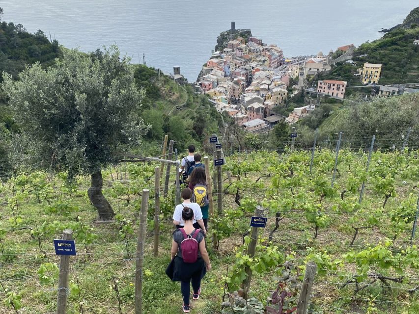 Vernazza: Panoramic Vineyard Trekking Tour w/ Wine Tasting - The return walk: keep your energy for the descent