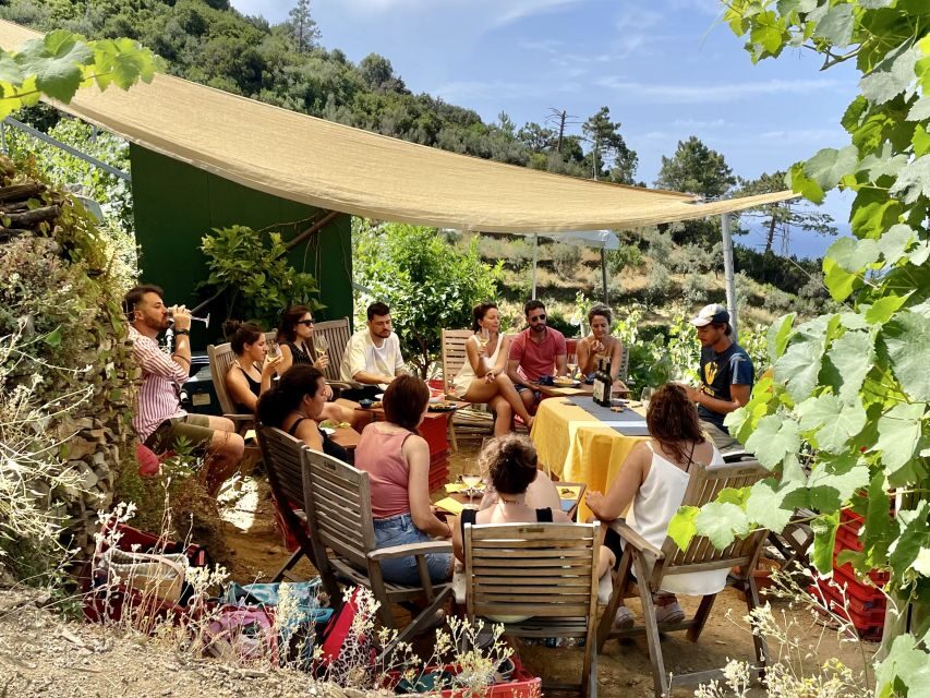 Vernazza: Panoramic Vineyard Trekking Tour w/ Wine Tasting - Who this tour suits (and who should skip it)