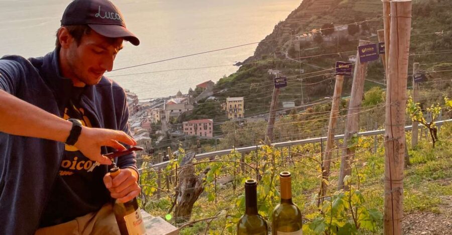 Vernazza: Panoramic Vineyard Trekking Tour w/ Wine Tasting - The uphill hike to Eroico Vineyard: short, steep, and worth it