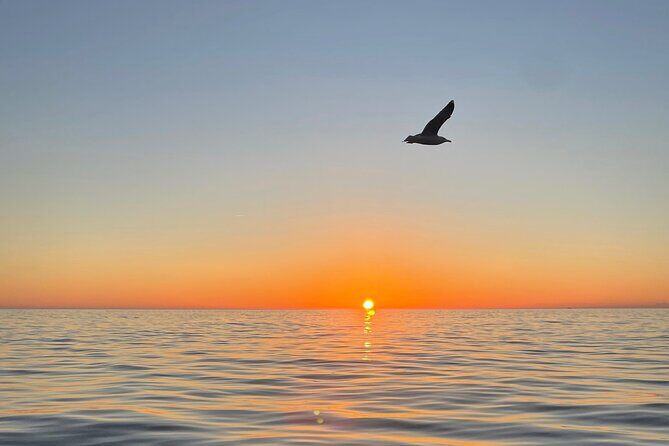 Where the Sun sets: your 5Terre Chill Cruise - What the Boat Tour Actually Delivers (Not Just Pretty Views)